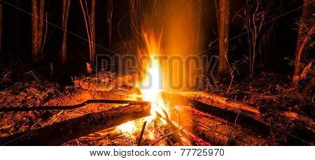 The Campfire