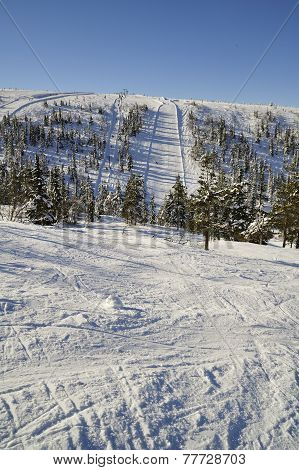 Ski Run