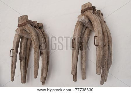 Ancient Yokes