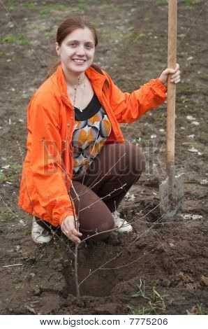 Woman Making Orchard