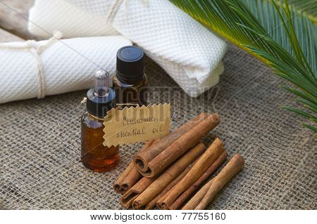 Cinnamon essential oil