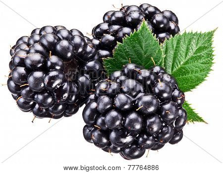 Dewberries with leaf isolated over white background. Macro shot.