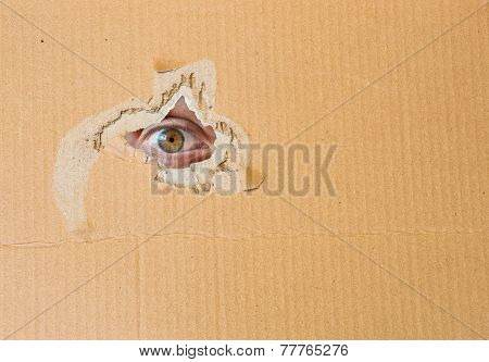 Hidden eye spying through torn hole in cardboard paper