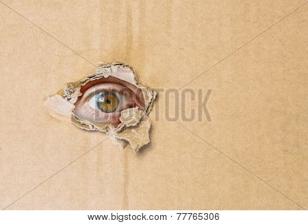 Hidden eye spying through torn hole in cardboard paper