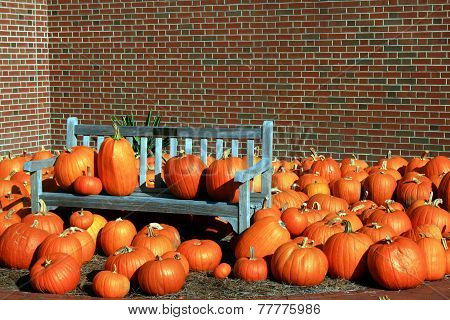 Pumpkins
