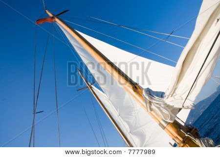 Vela