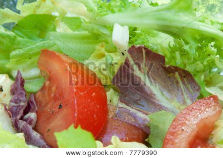 Insalata