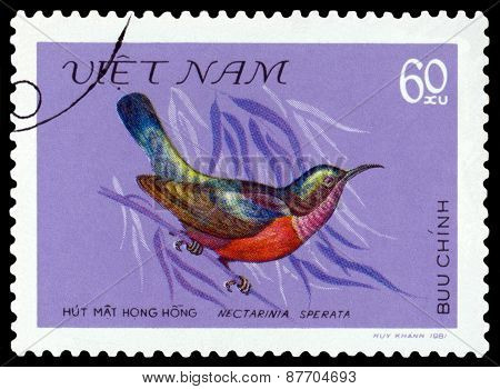 Vintage  Postage Stamp. Bird Nectarinia Sperata.