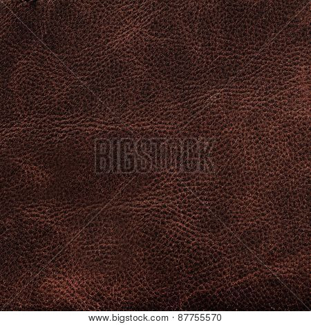 Natural Brown Leather Texture. Leather  Background Surface For Your Design, Ad, Poster, C