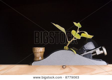 Odlesňování