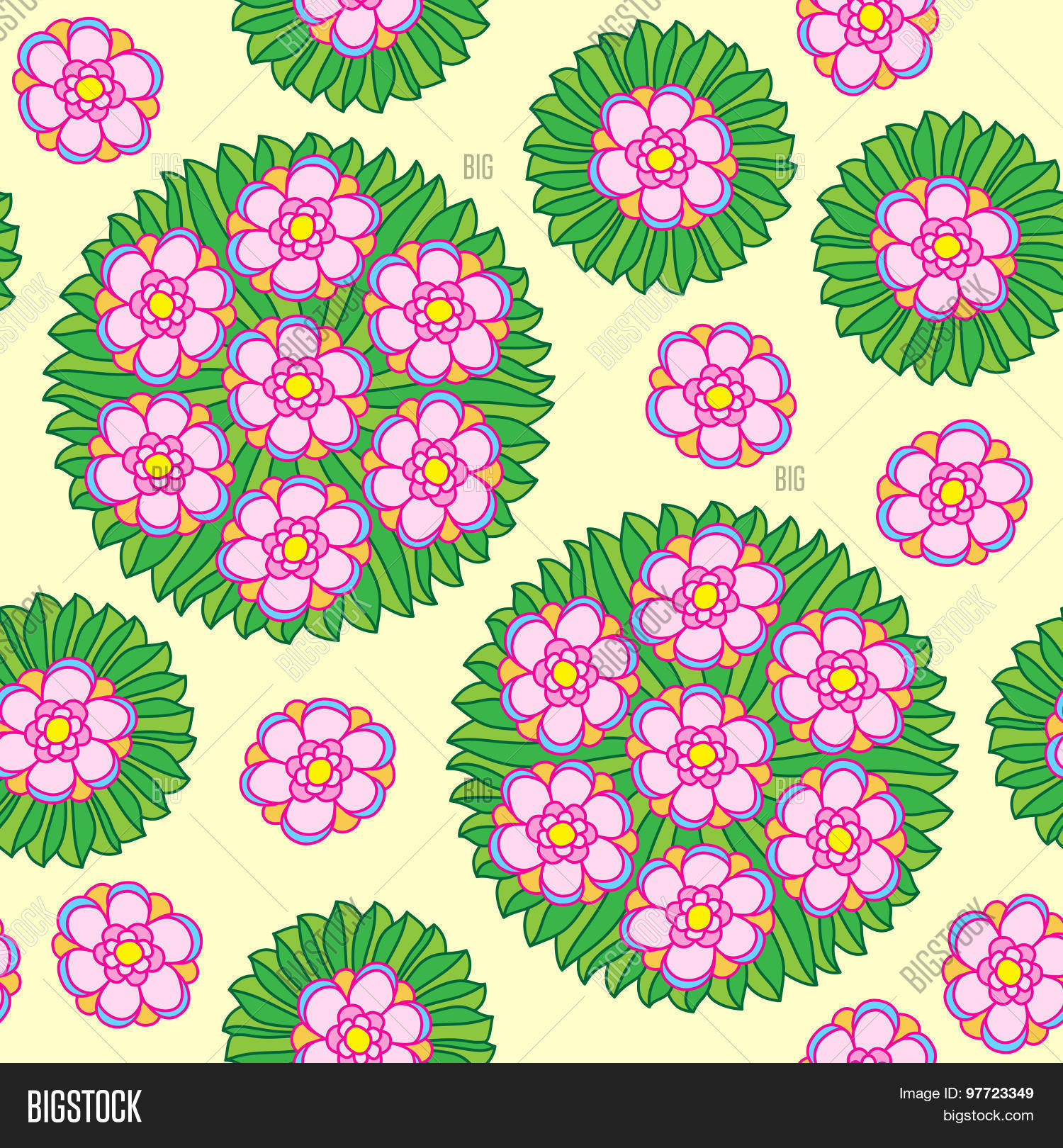 Image Preview