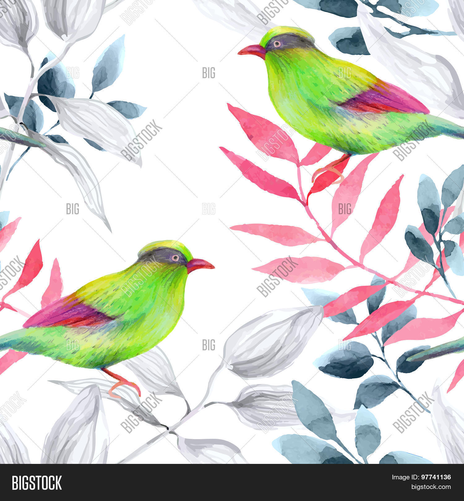 Image Preview