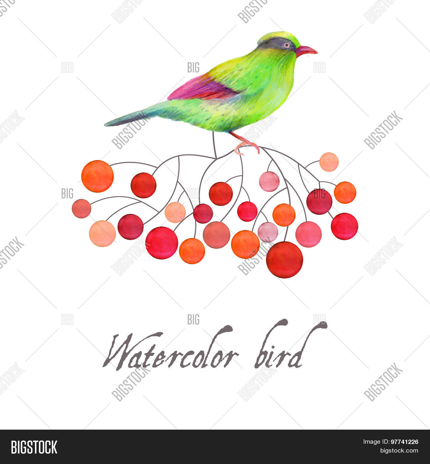 Image Preview