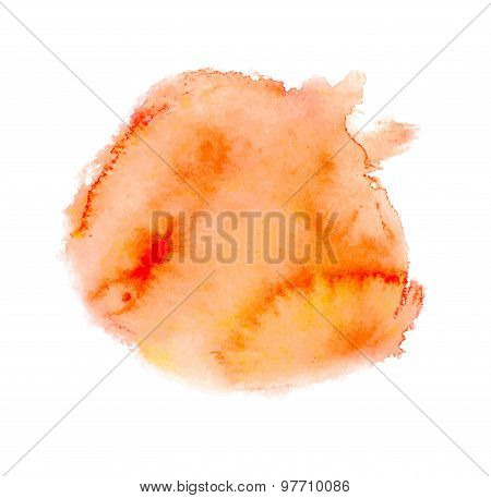 Vector watercolor background. painting on paper