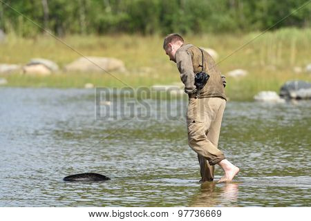 VALAAM ISLAND, RUSSIA - JULY 29, 2015: Vyacheslav Alekseev releases the Ladoga ringed seal into the lake Ladoga. Animal was cured in the Center of study and conservation of marine mammals