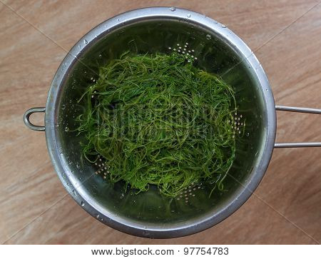 Seaweed Salad