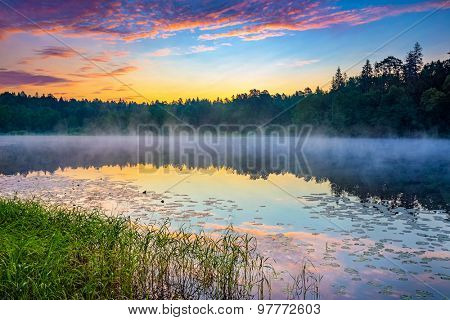 Foggy sunrise over forest lake