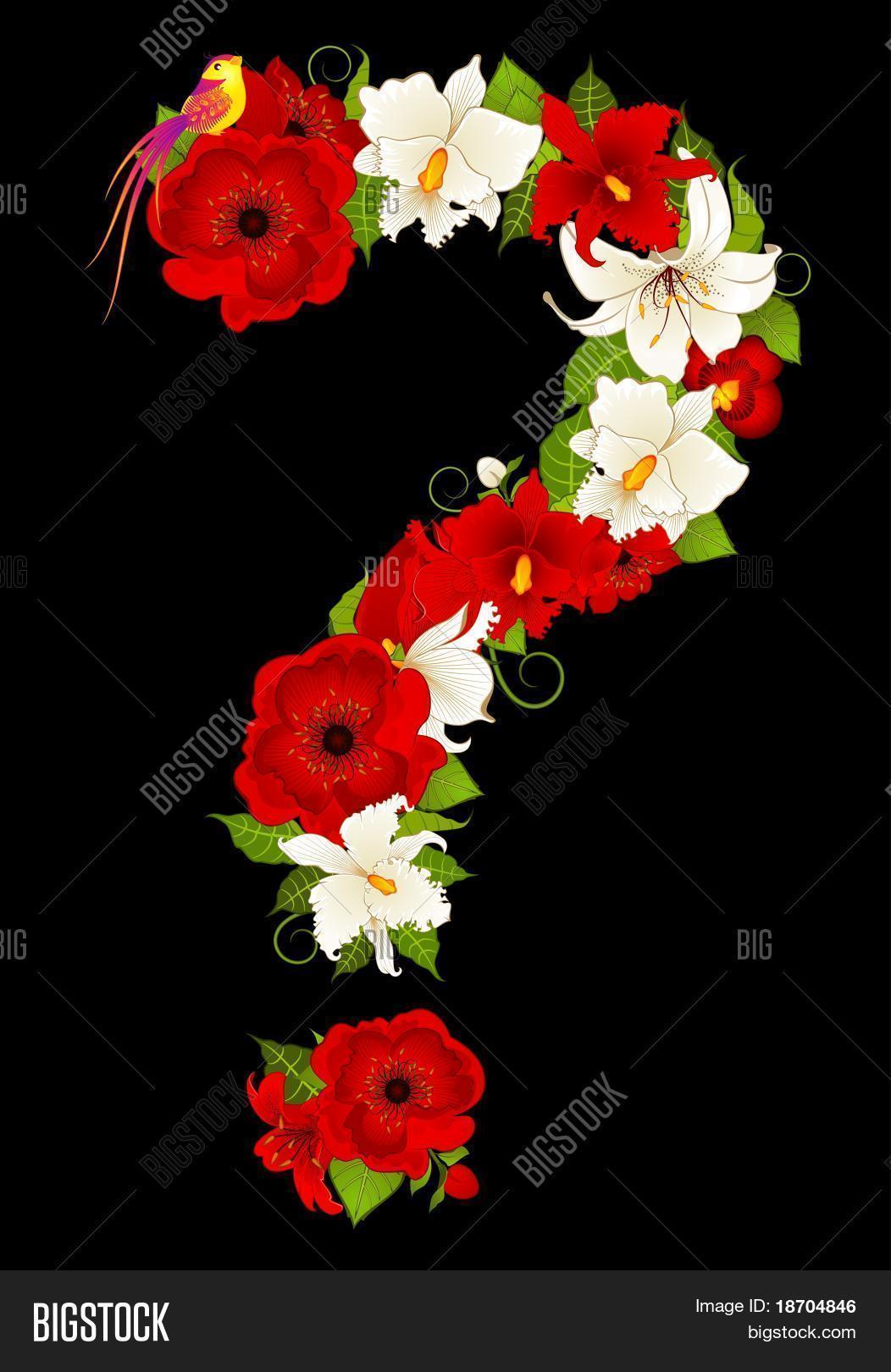 Questionmark Flowers Image & Photo (Free Trial) Bigstock
