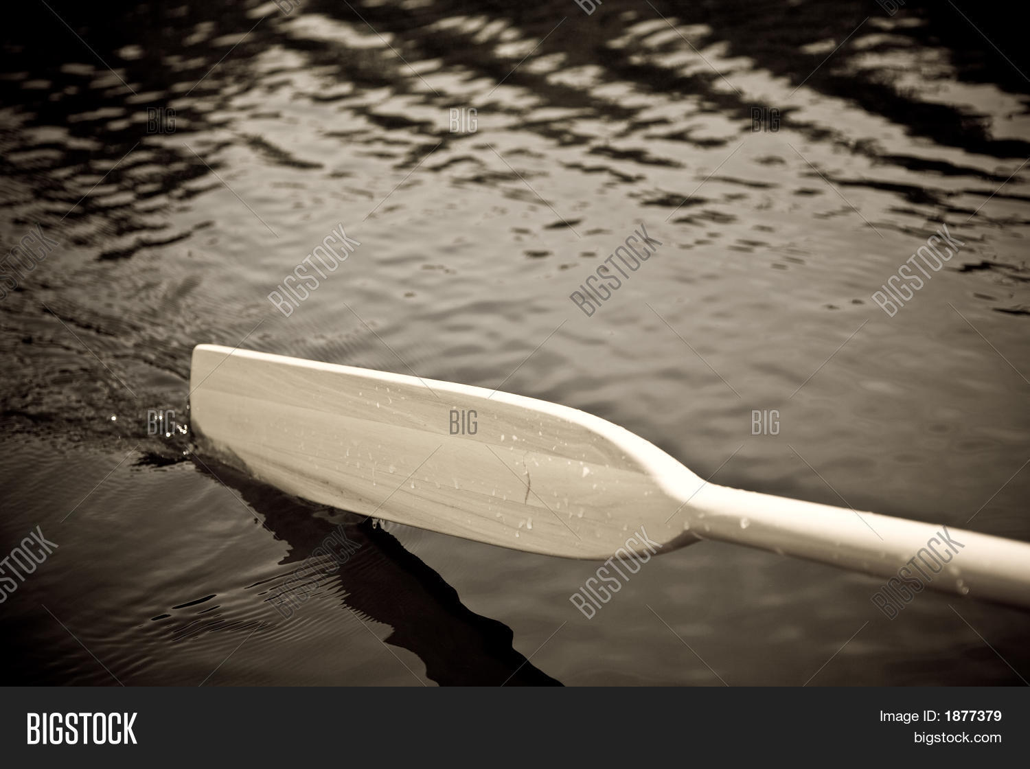 Paddle Water Image & Photo (Free Trial) Bigstock