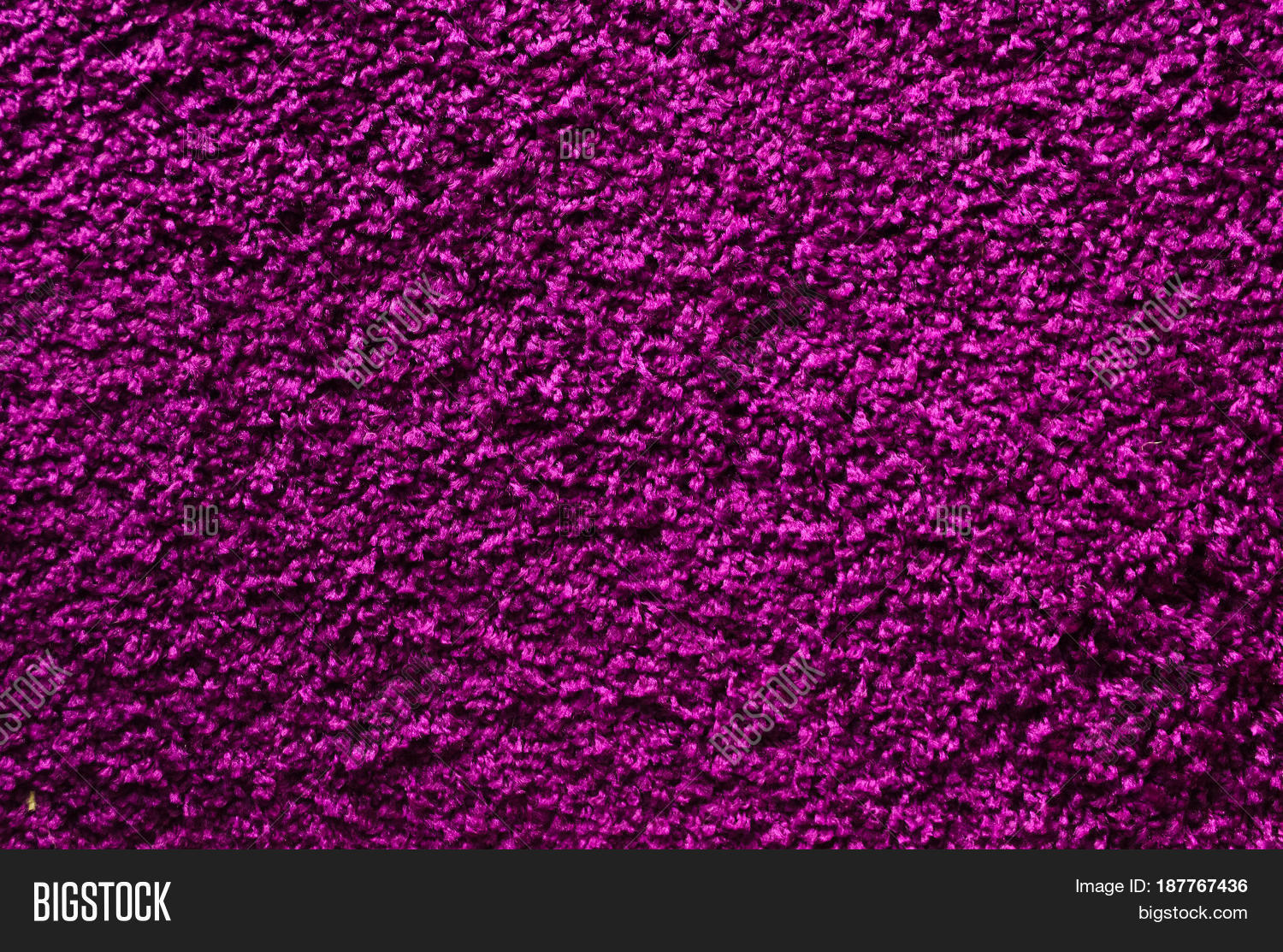 Purple Carpet Image & Photo (Free Trial) | Bigstock