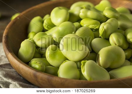 Raw Organic Fresh Green Fava Beans