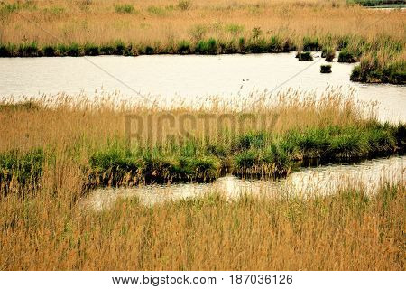 Small lake in the nature reserve Wagbachniederung Germany