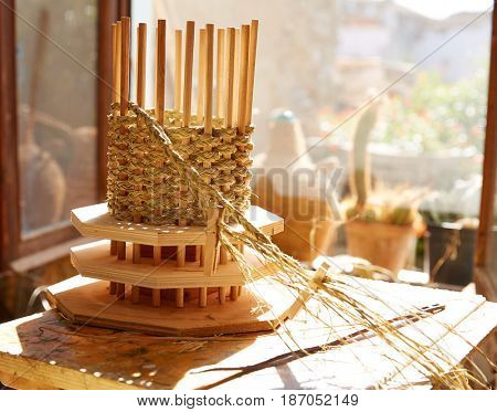 Esparto halfah grass used for crafts as cords basketry and espadrilles