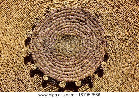 Esparto halfah grass used for crafts as cords basketry and espadrilles