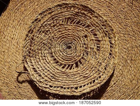 Esparto halfah grass used for crafts as cords basketry and espadrilles