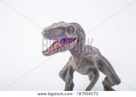 Great Velociraptor Dinosaurs Toy With Open Mouth In Attack Position On White Background