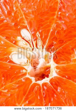 Close-up of a half blood orange isolated on white