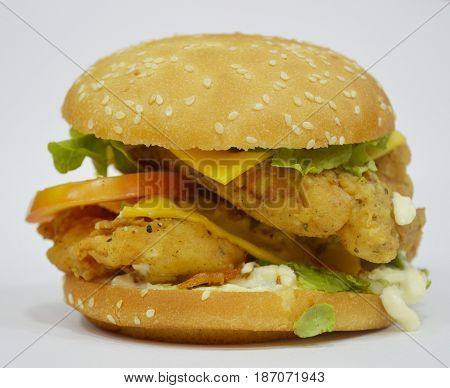 Tasty Chicken Burger on plain background - Can be used for websites, magazine, brochures or flyers