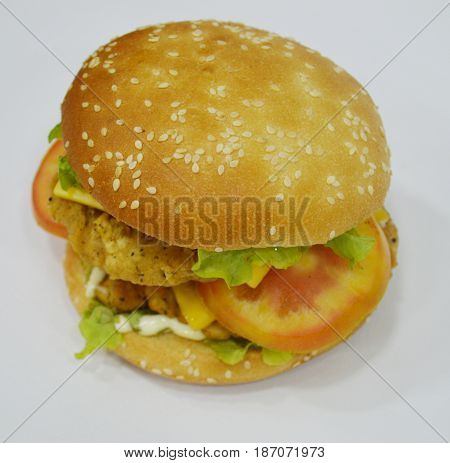 Tasty Chicken Burger on plain background - Can be used for websites, magazine, brochures or flyers