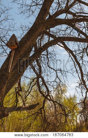 birdhouse on a tree in forest Park , hand wood shelter for birds to spend the winter