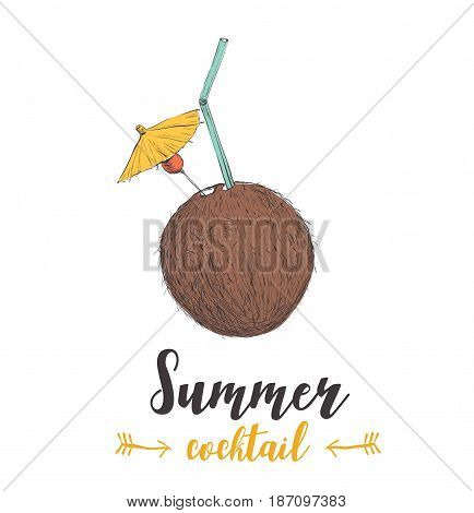 skech cocktail coconut. Sketch cocktail vector art