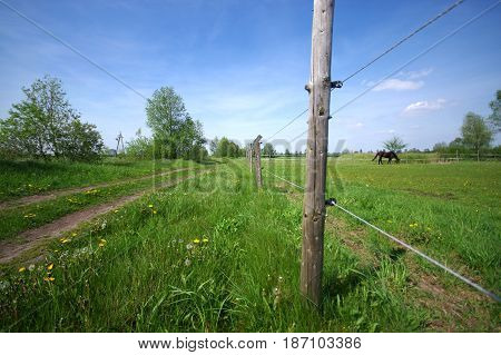 Fenced green pastiche with a horse eating grass. Blue sky on background.