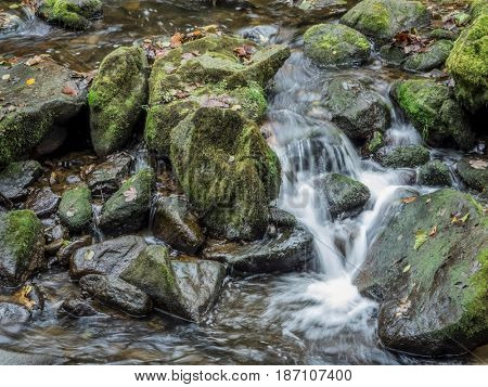 stream with running water