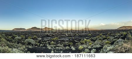 Aerial Of Ships On River Rhine
