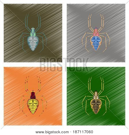 assembly flat shading style illustration of spider Araneus