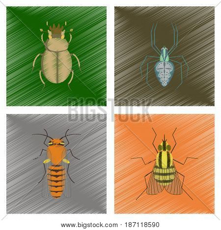 assembly flat shading style illustration of bug scarab Araneus bee fly