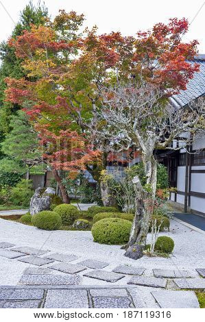 Japanese Red Maple Tree During Autumn In Garden At Enkoji Temple In Kyoto, Japan