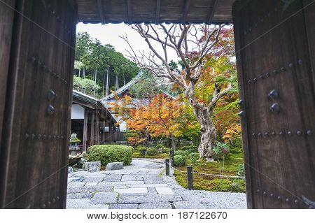 Entrance door to beautiful Japanese maple garden during autumn at Enkoji Temple in Kyoto Japan