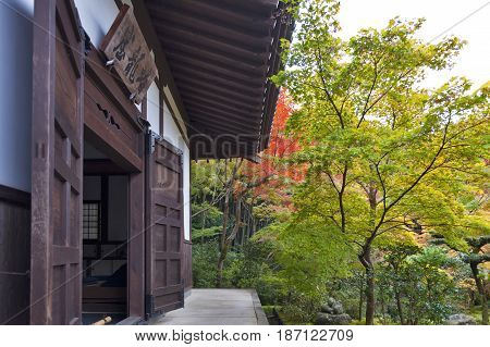 Kyoto Japan - November 2016: Japanese red maple tree during autumn in garden at Enkoji temple in Kyoto Japan