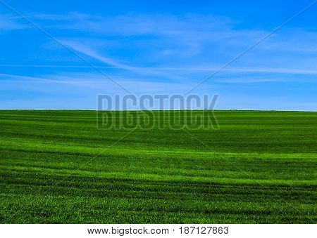 Wild Nature Ladsncape Background In The Spring Season