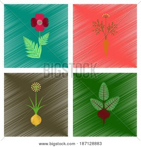 assembly flat shading style illustration of papaver daucus carota allium beta
