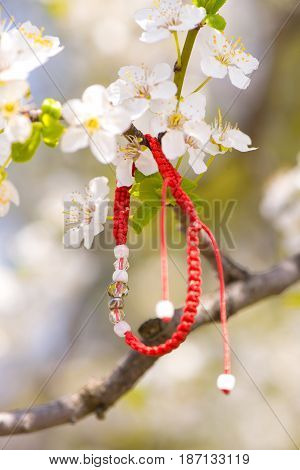 Red bracelet hanging in a blooming branch