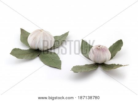 Buds Of Flowers, From Fresh Bulbs Of Garlic And A Laurel Leaf On A White Background
