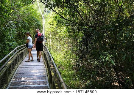 Jungle Tourism