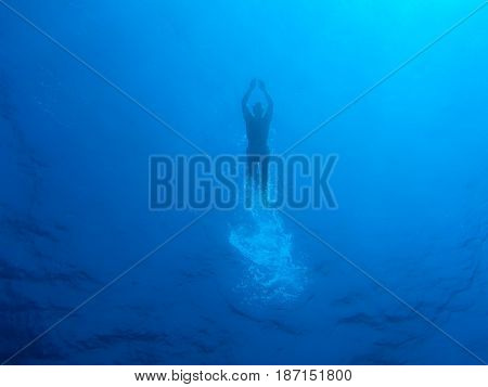 Egypt. Red sea. A person swims on the surface in fins. Shooting from under the water.
