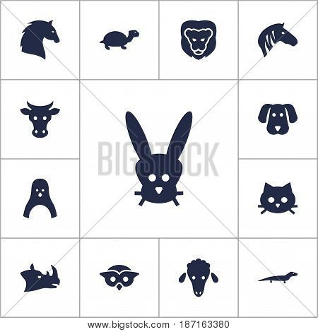 Set Of 13 Beast Icons Set.Collection Of Lamb, Kine, Gecko And Other Elements.